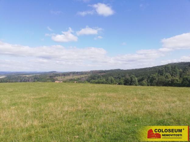 Prodej pole, Velenov, 1032 m2