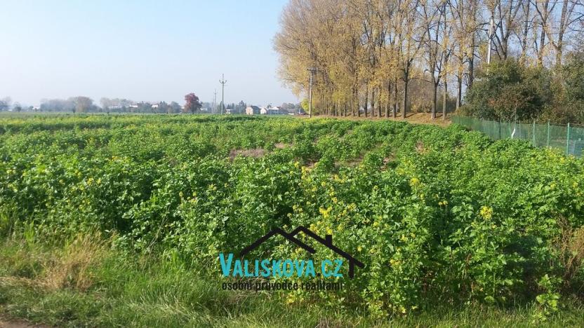 Prodej pole, Hulín, 710 m2