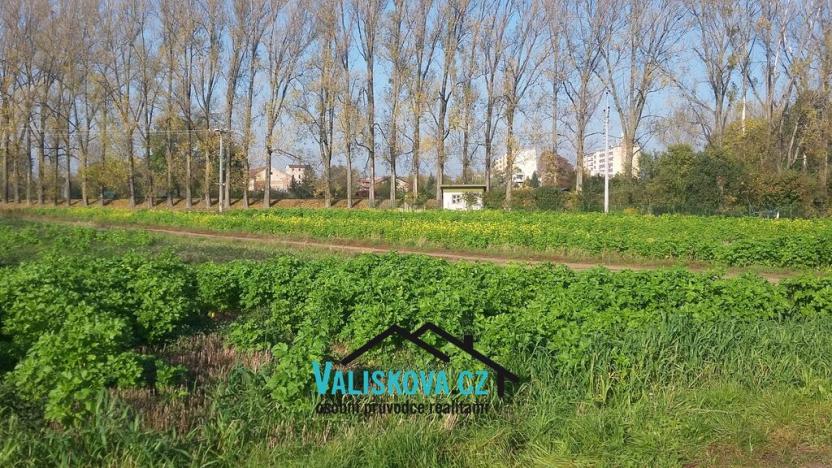 Prodej pole, Hulín, 710 m2