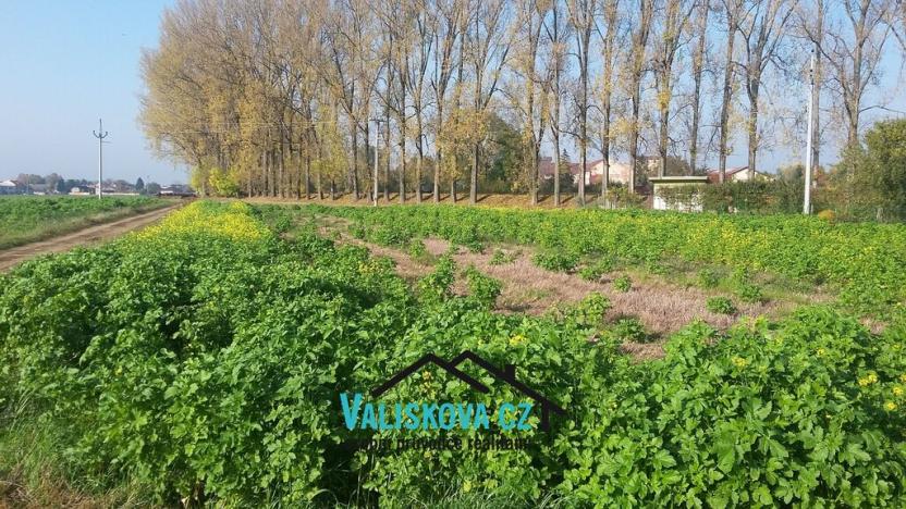 Prodej pole, Hulín, 397 m2