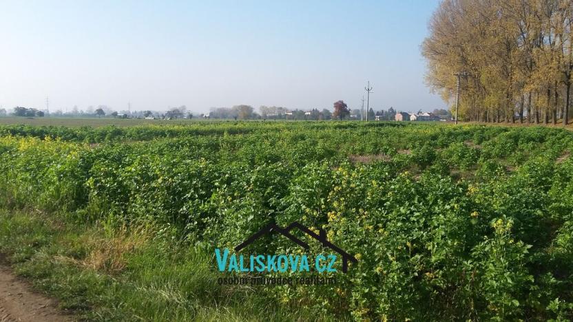 Prodej pole, Hulín, 397 m2