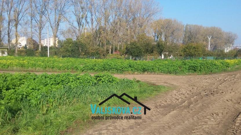 Prodej pole, Hulín, 419 m2