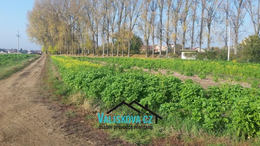 Prodej pole, Hulín, 419 m2