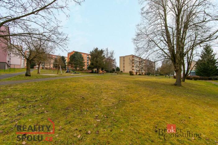 Prodej bytu 2+1, Cheb, Do Zátiší, 63 m2