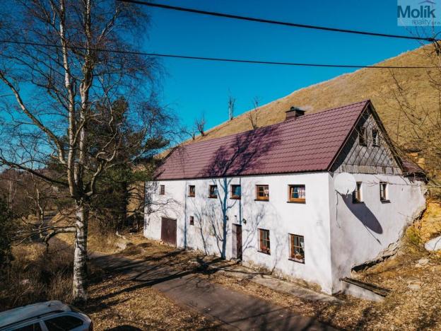 Prodej rodinného domu, Moldava, 390 m2