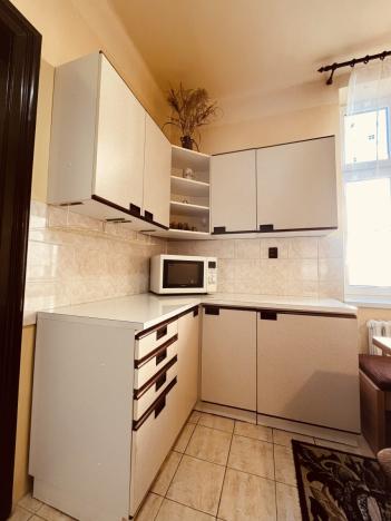 Pronájem bytu 4+1, Ostrava - Moravská Ostrava, Bankovní, 115 m2