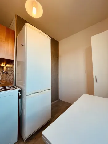 Pronájem bytu 1+1, Ostrava - Výškovice, Lužická, 38 m2