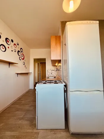 Pronájem bytu 1+1, Ostrava - Výškovice, Lužická, 38 m2