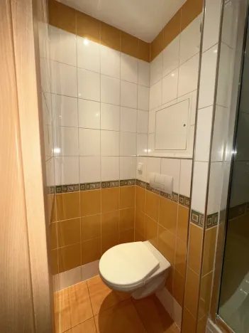 Pronájem bytu 2+kk, České Budějovice - České Budějovice 2, Dlouhá, 42 m2