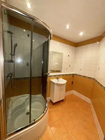 Pronájem bytu 2+kk, České Budějovice - České Budějovice 2, Dlouhá, 42 m2