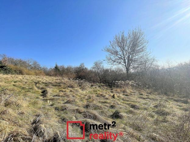 Prodej zahrady, Samotišky, 2493 m2