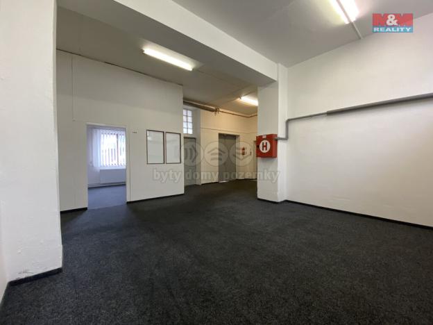 Pronájem skladu, Louny, Říční, 70 m2