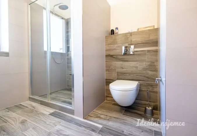 Pronájem bytu 3+kk, Hradec Králové - Pražské Předměstí, Albertova, 55 m2