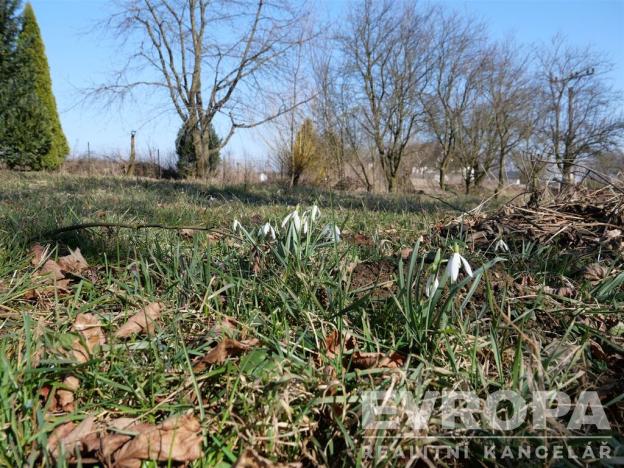 Prodej zahrady, Větrný Jeníkov, 669 m2