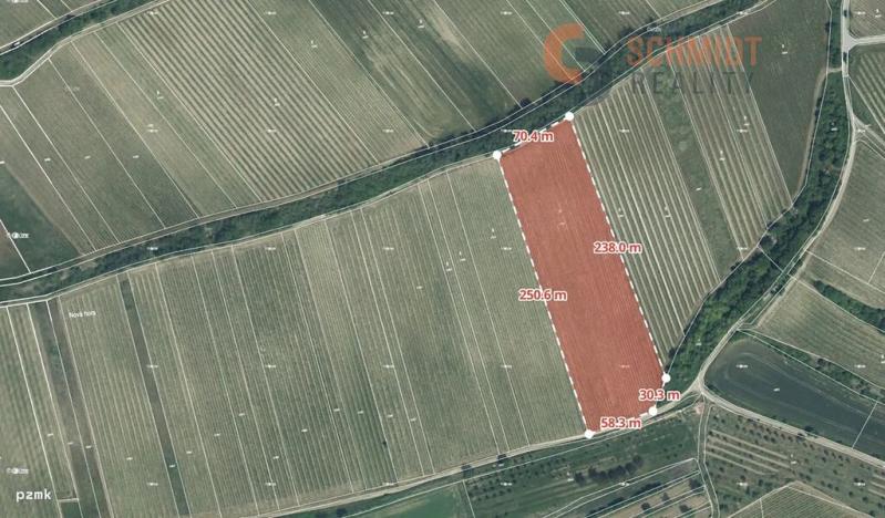 Prodej sadu/vinice, Pavlov, 18630 m2