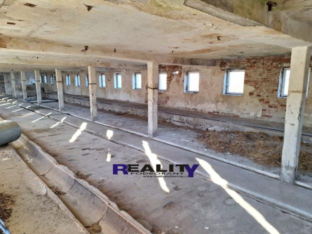 Prodej zemědělské usedlosti, Krásný Dvůr, 520 m2