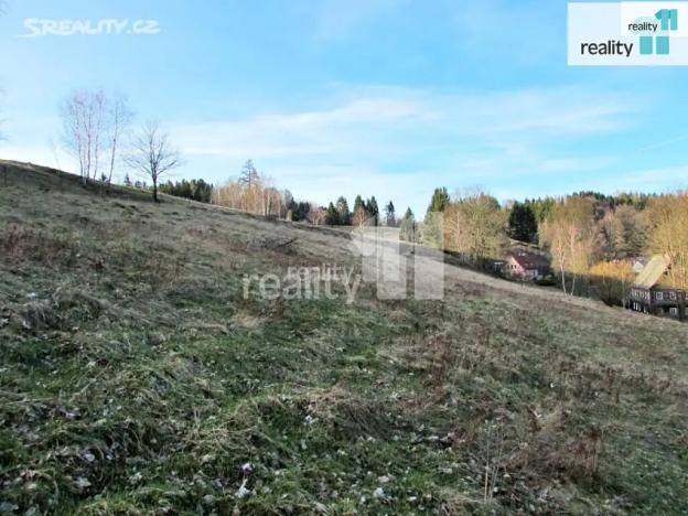 Prodej louky, Krásná Lípa - Dlouhý Důl, 4262 m2