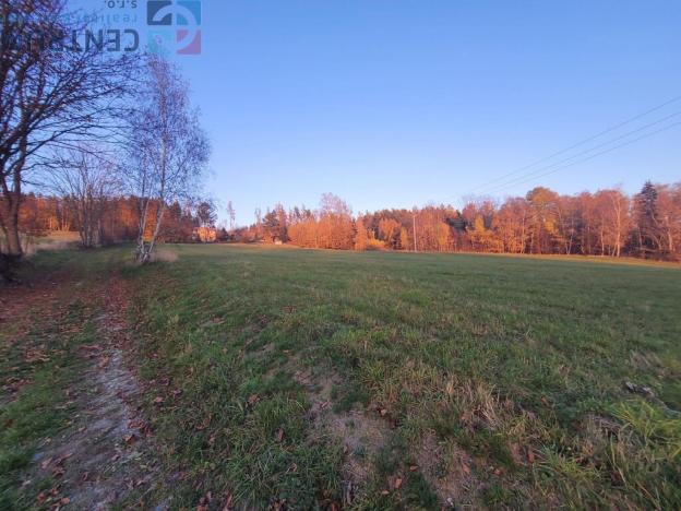 Prodej louky, Železný Brod - Bzí, 6834 m2