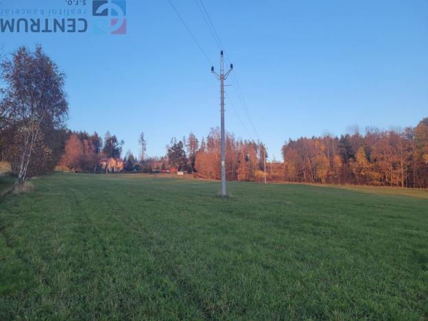 Prodej louky, Železný Brod - Bzí, 6834 m2