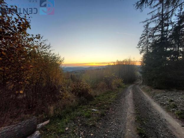 Prodej louky, Železný Brod - Bzí, 6834 m2