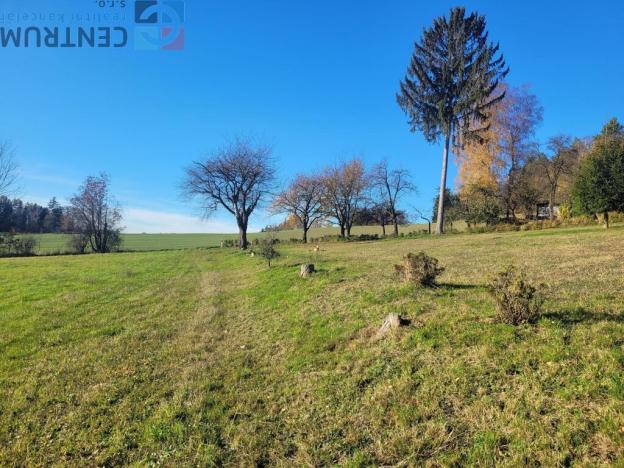 Prodej louky, Železný Brod - Bzí, 6834 m2