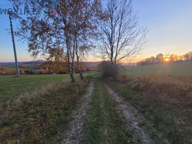 Prodej louky, Železný Brod - Bzí, 6834 m2