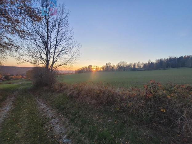 Prodej louky, Železný Brod - Bzí, 6834 m2