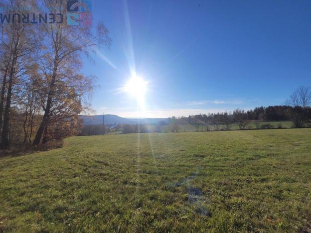 Prodej louky, Železný Brod - Bzí, 6834 m2