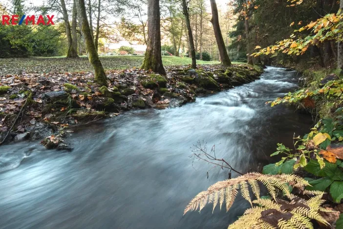 Prodej chalupy, Nový Hrádek, Končiny, 375 m2