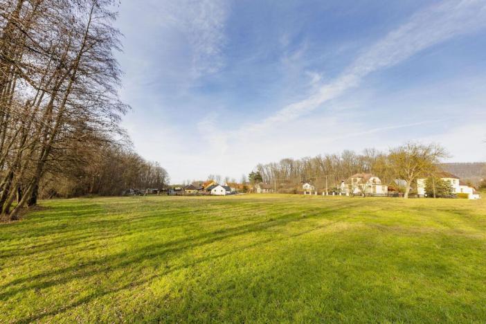 Prodej pozemku pro bydlení, Běstvina, 2243 m2