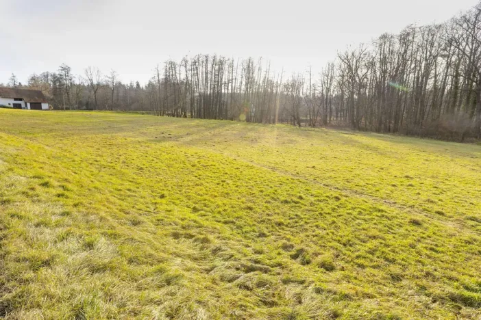 Prodej pozemku pro bydlení, Běstvina, 2532 m2