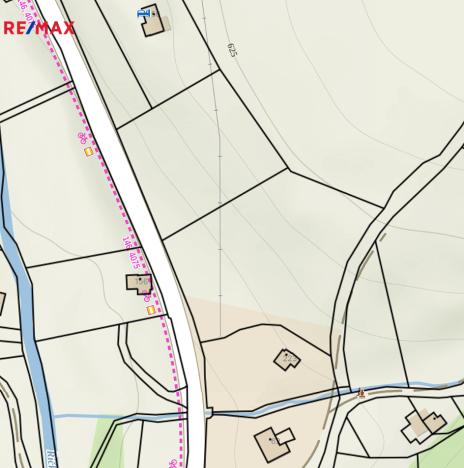Prodej pozemku pro bydlení, Říčky v Orlických horách, 3863 m2