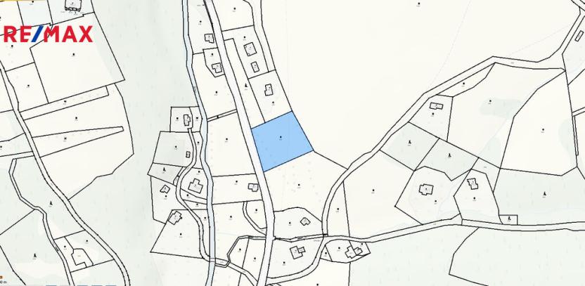 Prodej pozemku pro bydlení, Říčky v Orlických horách, 3863 m2