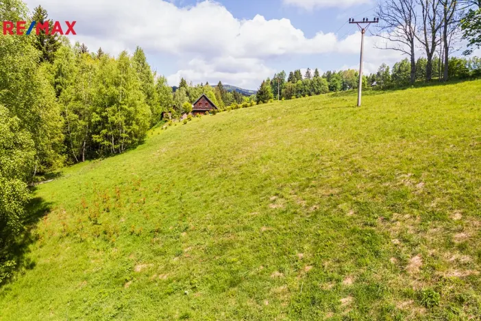 Prodej pozemku pro bydlení, Říčky v Orlických horách, 3863 m2