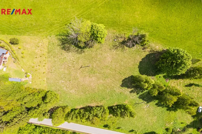 Prodej pozemku pro bydlení, Říčky v Orlických horách, 3863 m2