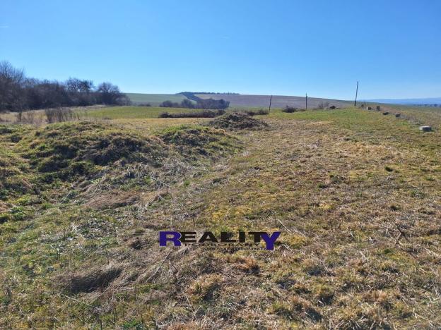 Prodej pozemku pro bydlení, Žatec - Milčeves, 4163 m2