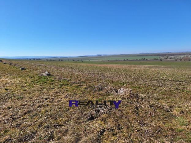 Prodej pozemku pro bydlení, Žatec - Milčeves, 4163 m2