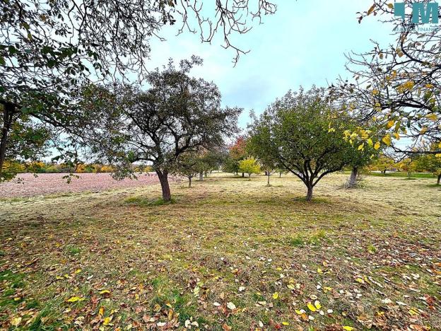 Pronájem pozemku pro bydlení, Kramolín, 173500 m2