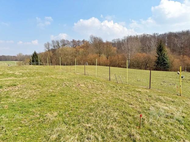 Prodej pozemku pro bydlení, Žáravice, 1332 m2