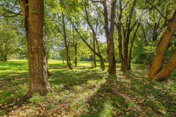 Prodej obchodního prostoru, Praha - Motol, Brdlíkova, 100 m2