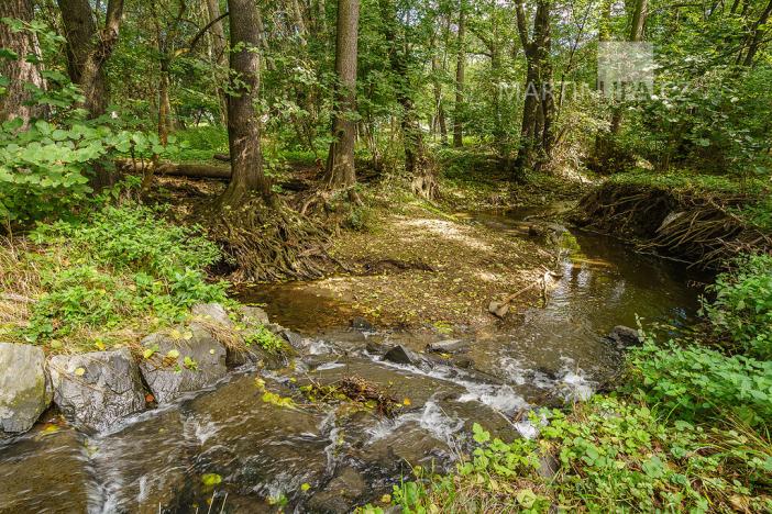 Prodej obchodního prostoru, Praha - Motol, Brdlíkova, 100 m2