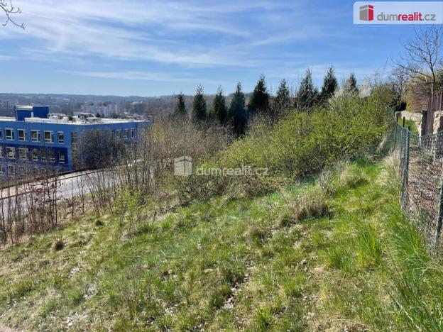 Prodej pozemku pro bydlení, Cheb, Dvořákova, 1431 m2