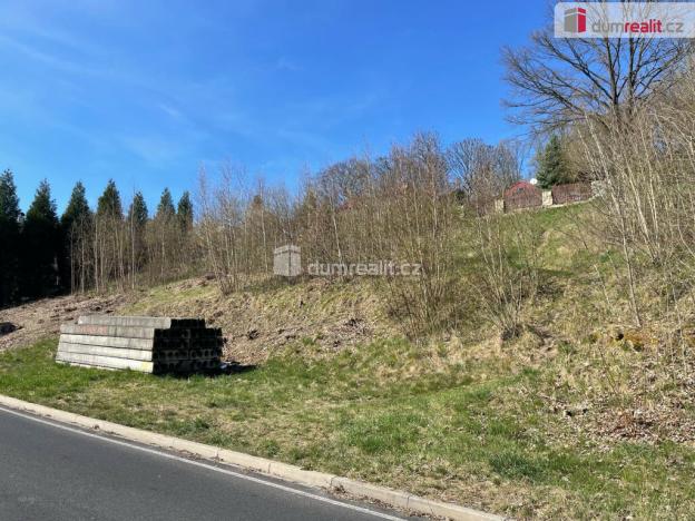 Prodej pozemku pro bydlení, Cheb, Dvořákova, 1431 m2