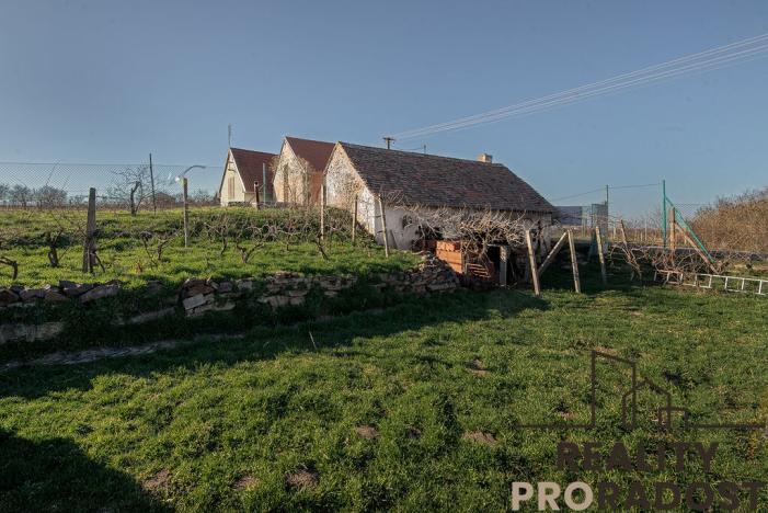 Prodej vinného sklepa, Strachotice, 450 m2