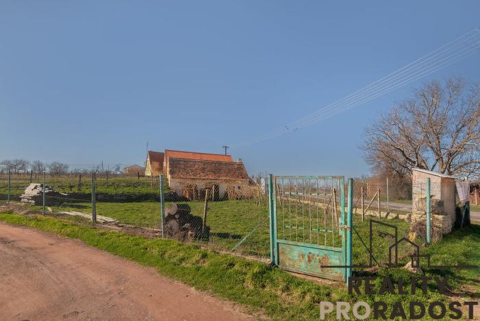 Prodej vinného sklepa, Strachotice, 450 m2