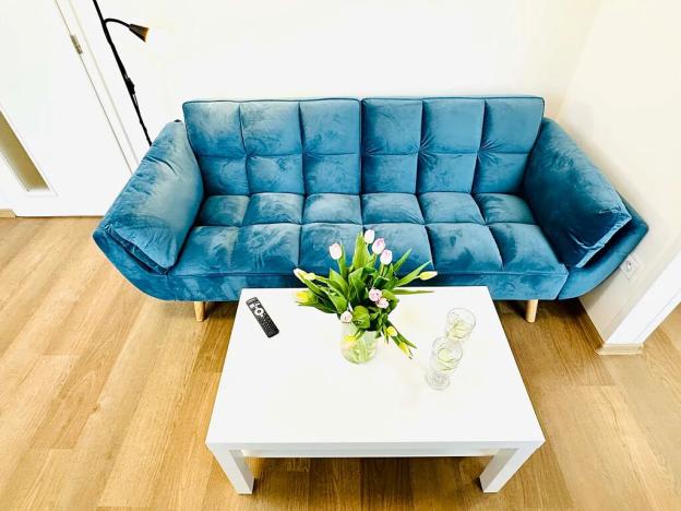 Pronájem bytu 1+kk, Jihlava, Havlíčkova, 50 m2