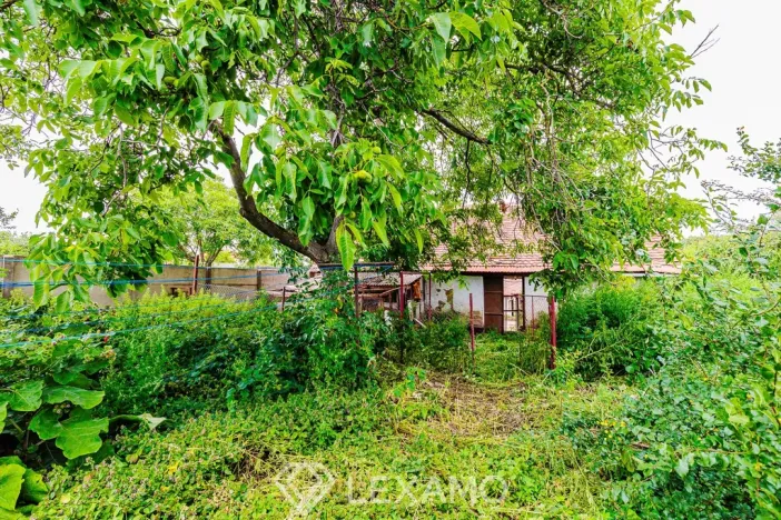 Prodej rodinného domu, Višňové, 1380 m2