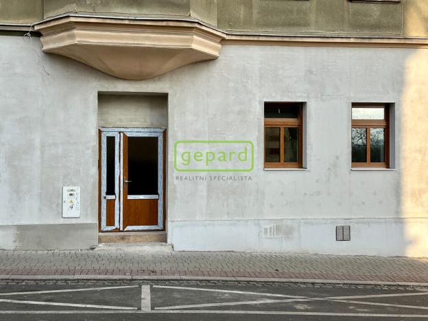 Prodej atypického bytu, Ústí nad Labem - Ústí nad Labem-centrum, Moskevská, 159 m2