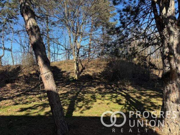 Prodej pozemku pro bydlení, Říčany, Purkyňova, 595 m2