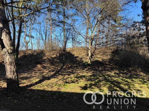 Prodej pozemku pro bydlení, Říčany, Purkyňova, 595 m2